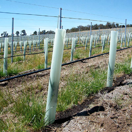 Tubex VineWrap Peg-Thru
