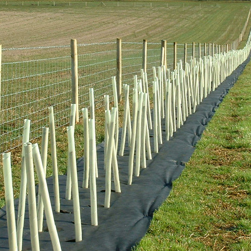 Weed Control Fabric