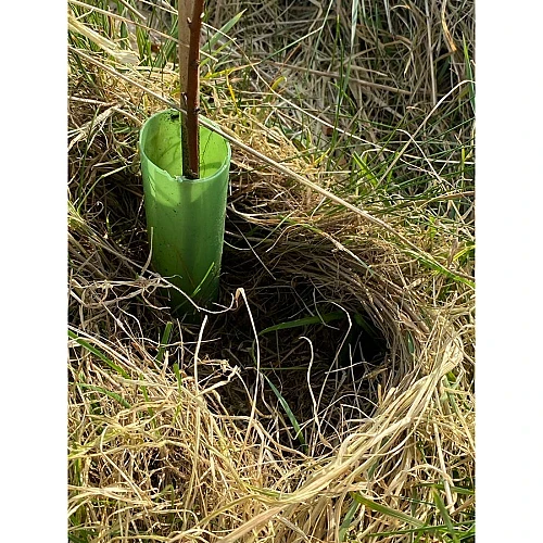 Rainbow Bio Vole Guard