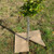Biodegradable Jute & Hessian Weed Mats