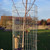 Galvanised Weld Mesh Tree Guard