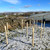 Rainbow Terra Tree Shelters