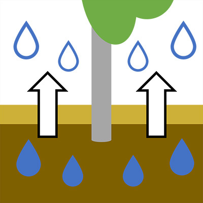 Reduced moisture loss