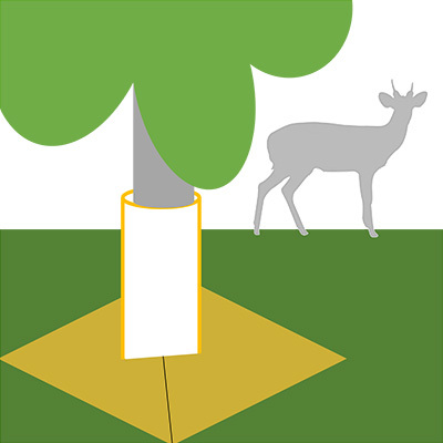 Natural deer deterrent