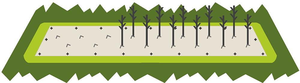 Planting