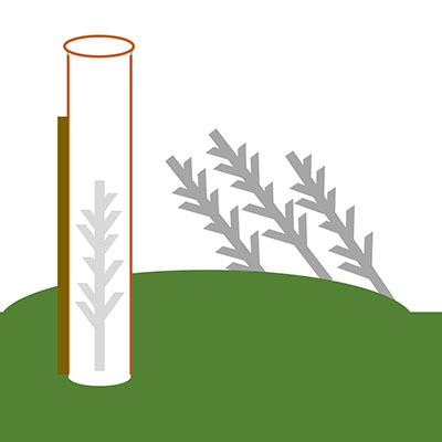 Wind protection