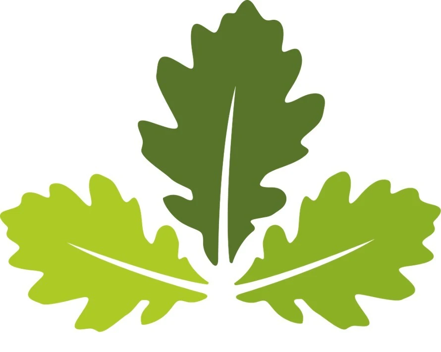 BHT oak leaves