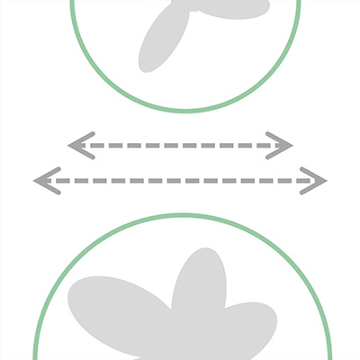 Standard 'Plus'