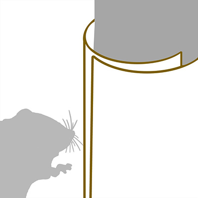 Animal protection