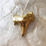 Swell Necklace by Sophia C Jewelry 24k Gold Electroplated Real Shark Tooth