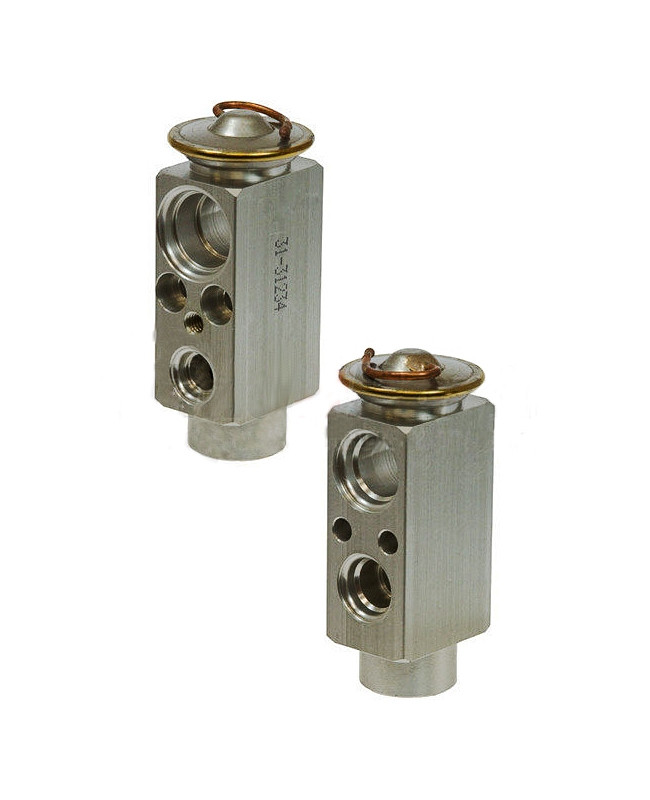 Omega Expansion Valve 31-31234