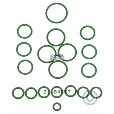 Omega Heavy Duty O-Ring Kit - 21-84657