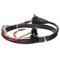 Truck-Lite 50 Series 14 Gauge 12 in. Left Hand Side Stop/Turn/Tail and Back-Up Harness with 3 Plug Right Angle PL-3 and Blunt Cut - 50205-0012