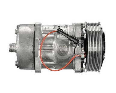 デデンネ　ジラーチ　マギアナ デデンネ ジラーチ マギアナ デデンネ ジラーチ マギアナ マギアナ