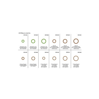 Omega European Double O-Ring/Sleeve Gasket Assortment Kit Master Tech -  MT9594