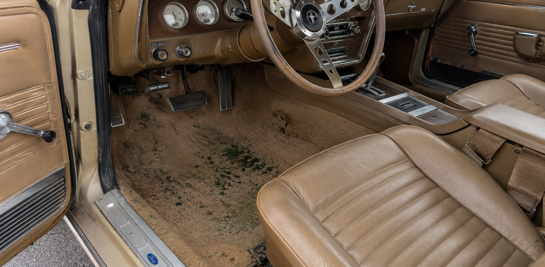 Mold in Your Car: How It Starts, Why It's Dangerous, and How to Prevent It for Good