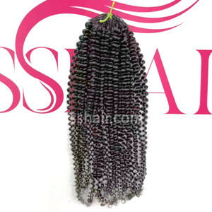 High Quality Crochet Hair Kinky Curly Virgin Remy Human Hair