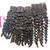 4X4 5x5 Closure Burmese Bounce Curly Virgin Remy Human hair HD & Transparent Available