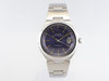Tudor Ranger II VWS-3014