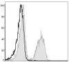 PE Anti-Mouse CD19 Antibody [1D3] (AGEL0004)