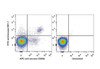 FITC Anti-Mouse CD161/NK1.1 Antibody [PK136] (AGEL0012)