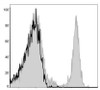 APC Anti-Mouse CD8a Antibody [53-6.7] (AGEL0382)