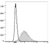 PE/Cyanine5.5 Anti-Mouse CD86 Antibody [GL-1] (AGEL0548)