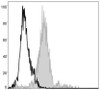GenieFluor 488 Anti-Mouse F4/80 Antibody [CI:A3-1] (AGEL0574)