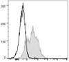 FITC Anti-Mouse CD54 Antibody [YN1/1.7.4] (AGEL0710)