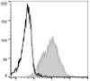 PE Anti-Mouse CD54 Antibody [YN1/1.7.4] (AGEL0711)
