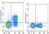 PE Anti-Mouse CD127/IL-7RA Antibody [A7R34] (AGEL0746)