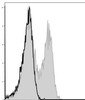 GenieFluor 488 Anti-Mouse CD127/IL-7RA Antibody [A7R34] (AGEL0753)