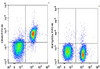 FITC Anti-Mouse CD40 Antibody [FGK4.5/FGK45] (AGEL0782)
