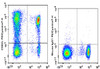 PE/Cyanine7 Anti-Human CD62L Antibody [DREG56] (AGEL0952)