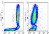 FITC Anti-Human CD32 Antibody [IV-3] (AGEL1073)