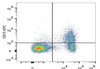 APC Anti-Mouse CD73 Antibody [TY/23] (AGEL1144)