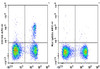 APC Anti-Mouse CD103 Antibody [M290] (AGEL1146)