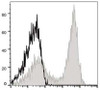 APC Anti-Mouse CD90.2 Antibody [30H12] (AGEL1214)
