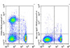 PE/Cyanine7 Anti-Rat CD8a Antibody [OX-8] (AGEL1269)