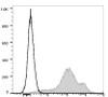 PE/Cyanine7 Anti-Human/Mouse CD44 Antibody [IM7] (AGEL1285)