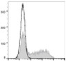 PE Anti-Mouse IFN-κ Antibody [XMG1.2] (AGEL1291)
