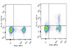 FITC Anti-Mouse CD25 Antibody [PC-61.5.3] (AGEL1297)