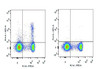 GenieFluor 647 Anti-Mouse CD25 Antibody [PC-61.5.3] (AGEL1304)