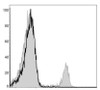 FITC Anti-Mouse CD8a Antibody [53-6.7] (AGEL1336)