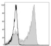 PE Anti-Mouse Ly6G Antibody [1A8] (AGEL1376)