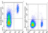 PE/Cyanine5.5 Anti-Human HLA-DR Antibody [L243] (AGEL1397)