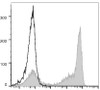 PE Anti-Mouse Ly-6G/Ly-6C (Gr-1) Antibody [RB6-8C5] (AGEL1470)
