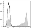APC Anti-Mouse Ly-6G/Ly-6C (Gr-1) Antibody [RB6-8C5] (AGEL1471)