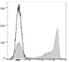 APC Anti-Mouse Ly-6G/Ly-6C (Gr-1) Antibody [RB6-8C5] (AGEL1481)
