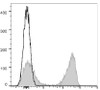 GenieFluor 647 Anti-Mouse TCRκ Antibody [H57-597 (HB218)] (AGEL1546)